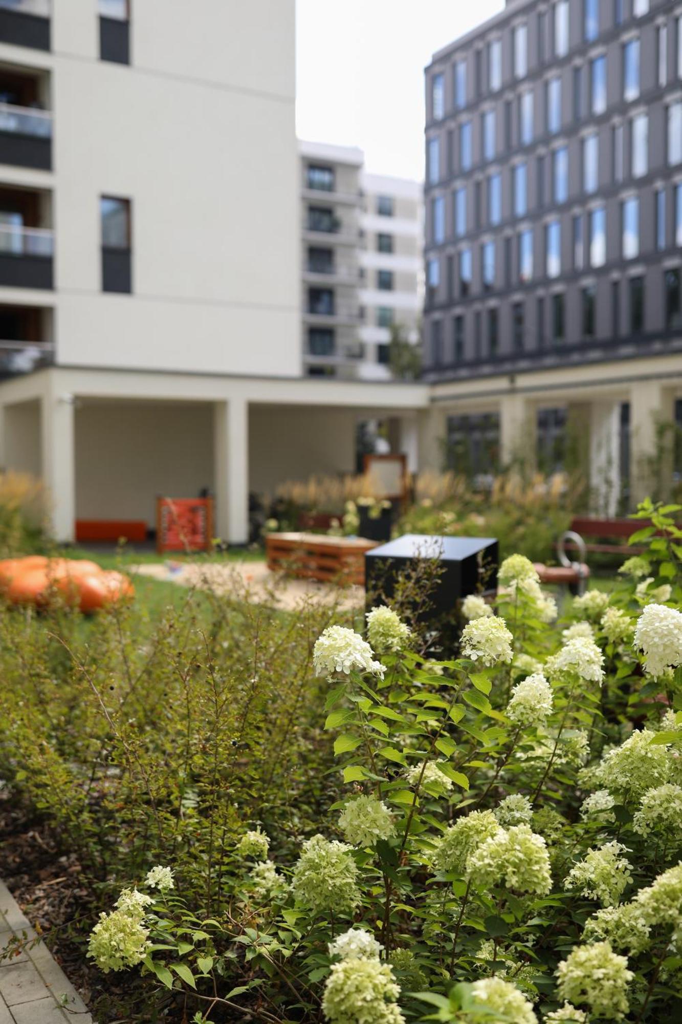 Apartament Zdziechowskiego With Parking And Ac, Mokotow Warszawa Exteriör bild